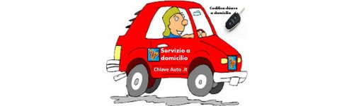 Servizio codifica a domicilio Servizio codifica a domicilio